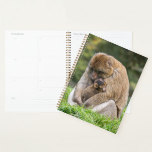 Cutest Baby Animals Barbary Macaque Family Planner