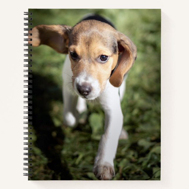 Cutest Baby Animals | Beagle Puppy Notebook (Front)