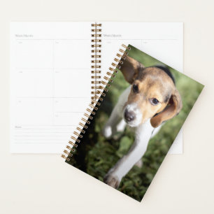 Cutest Baby Animals   Beagle Puppy Planner