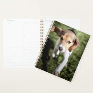 Cutest Baby Animals Beagle Puppy Planner
