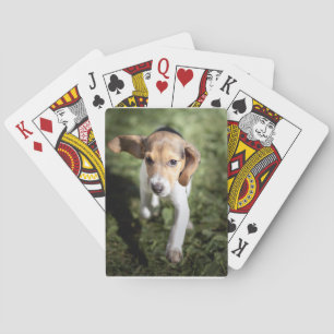Cutest Baby Animals Beagle Puppy Playing Cards