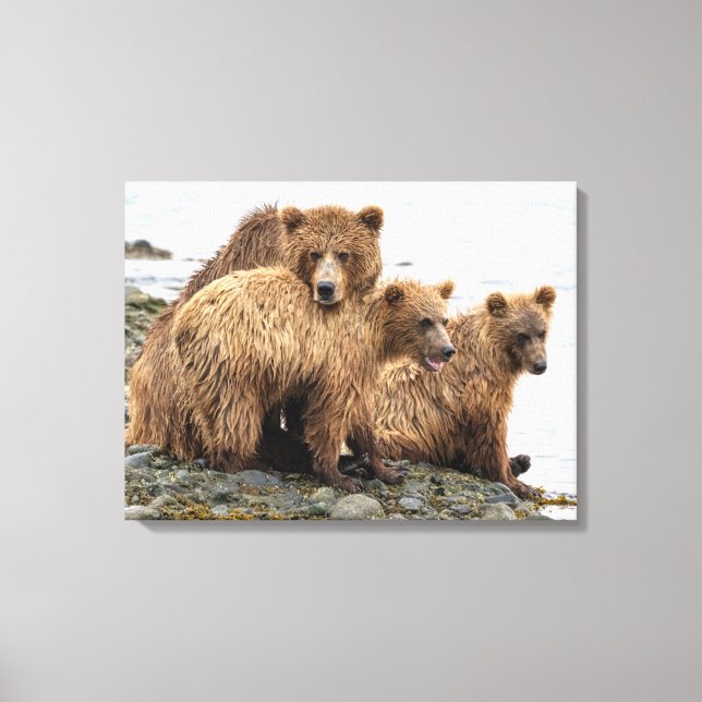 Cutest Baby Animals | Bear & Cubs Canvas Print (Front)