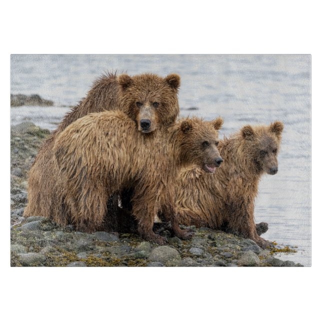 Cutest Baby Animals | Bear & Cubs Cutting Board (Front)