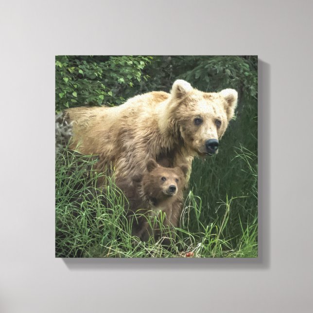 Cutest Baby Animals | Bear Mama Bear & Her Cubs Canvas Print (Front)