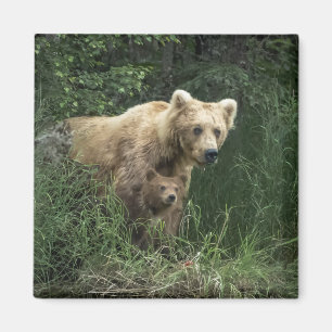 Cutest Baby Animals Bear Mama Bear & Her Cubs Magnet