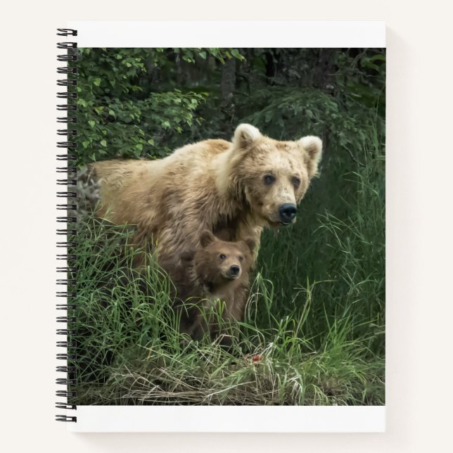 Cutest Baby Animals | Bear Mama Bear & Her Cubs Notebook (Front)