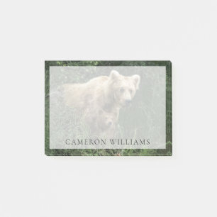 Cutest Baby Animals Bear Mama Bear & Her Cubs Post-it Notes