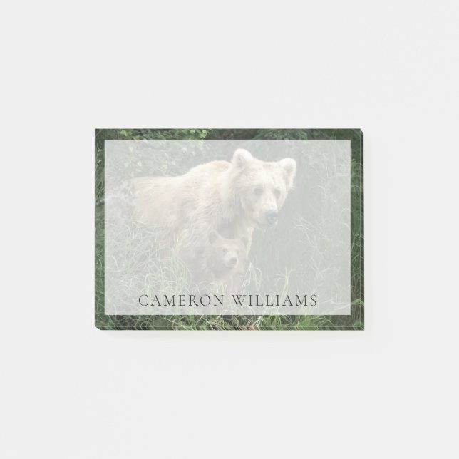 Cutest Baby Animals | Bear Mama Bear & Her Cubs Post-it Notes (Front)