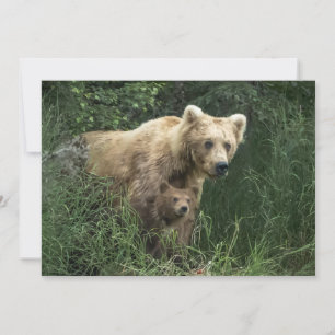 Cutest Baby Animals Bear Mama Bear & Her Cubs Thank You Card