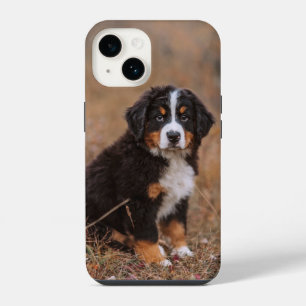 Cutest Baby Animals Bernese Mountain Dog iPhone 14 Case