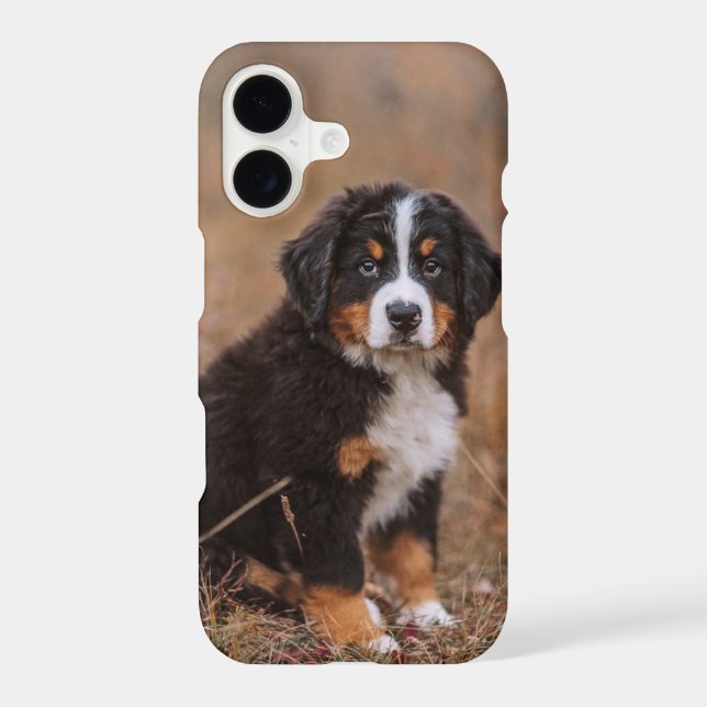 Cutest Baby Animals | Bernese Mountain Dog iPhone Case (Back)