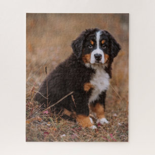 Cutest Baby Animals   Bernese Mountain Dog Jigsaw Puzzle