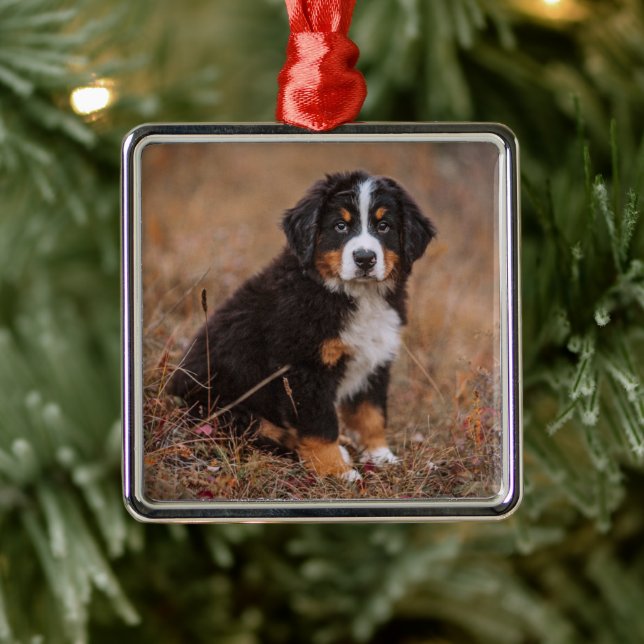 Cutest Baby Animals | Bernese Mountain Dog Metal Tree Decoration (Tree)