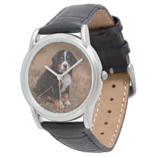Cutest Baby Animals Bernese Mountain Dog Watch