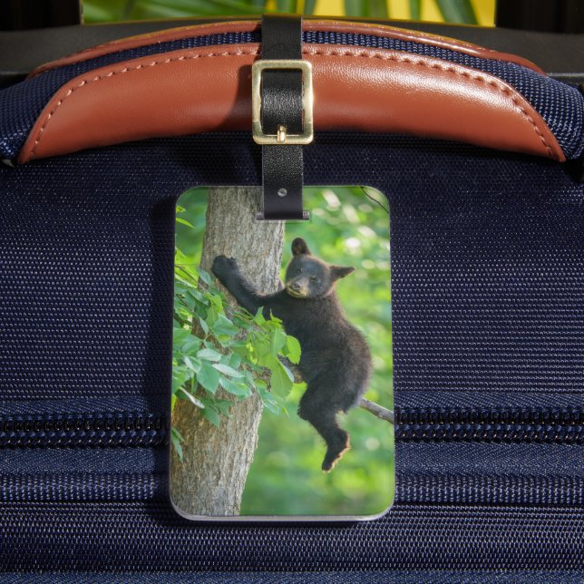 Cutest Baby Animals | Black Bear Cub Luggage Tag (Front Insitu 2)