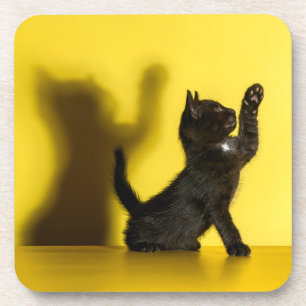 Cutest Baby Animals Black Cat Playing Coaster