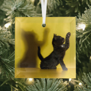 Cutest Baby Animals   Black Cat Playing Glass Tree Decoration