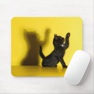 Cutest Baby Animals   Black Cat Playing Mouse Pad