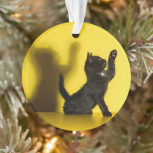 Cutest Baby Animals   Black Cat Playing Ornament