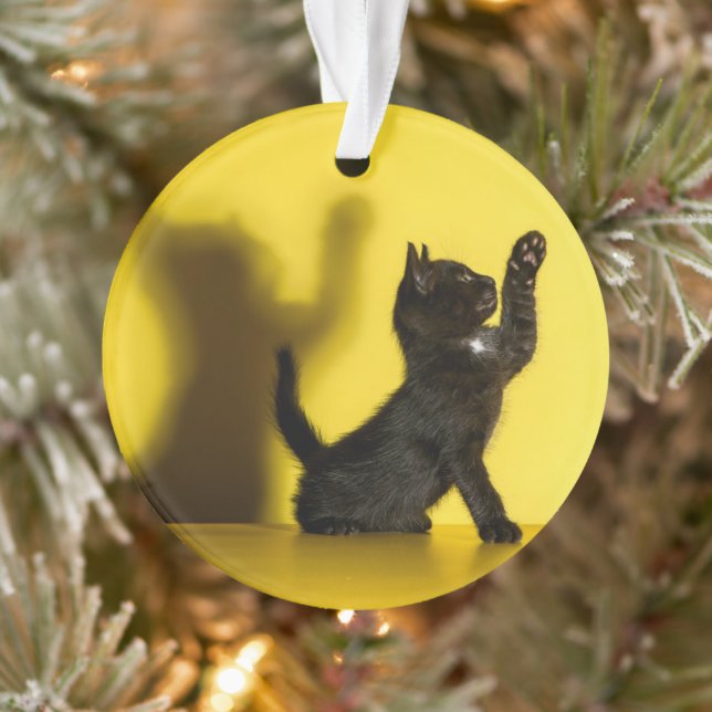 Cutest Baby Animals | Black Cat Playing Ornament (Tree)