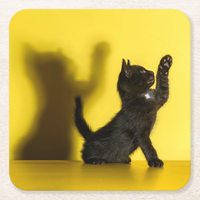 Cutest Baby Animals | Black Cat Playing Square Paper Coaster (Front)