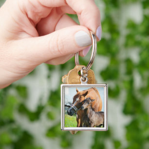 Cutest Baby Animals   Black Foal with Mom Key Ring