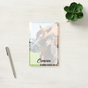 Cutest Baby Animals   Black Foal with Mom Post-it Notes