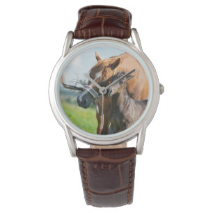 Cutest Baby Animals   Black Foal with Mom Watch