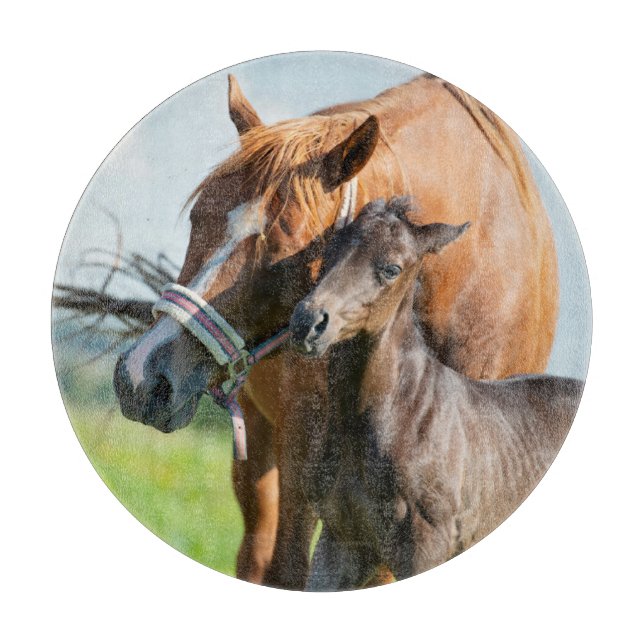 Cutest Baby Animals | Black Foal with Mum Cutting Board (Front)