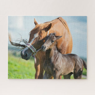 Cutest Baby Animals Black Foal with Mum Jigsaw Puzzle