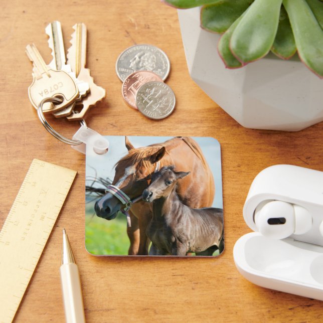 Cutest Baby Animals | Black Foal with Mum Key Ring (Desk)