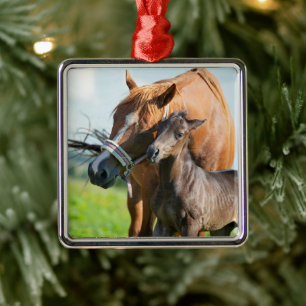 Cutest Baby Animals Black Foal with Mum Metal Tree Decoration