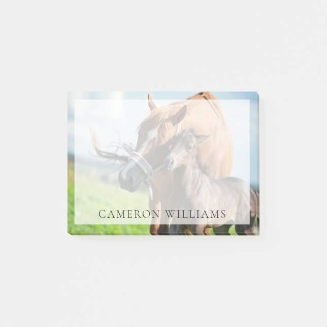 Cutest Baby Animals | Black Foal with Mum Post-it Notes (Front)