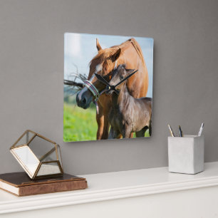 Cutest Baby Animals   Black Foal with Mum Square Wall Clock