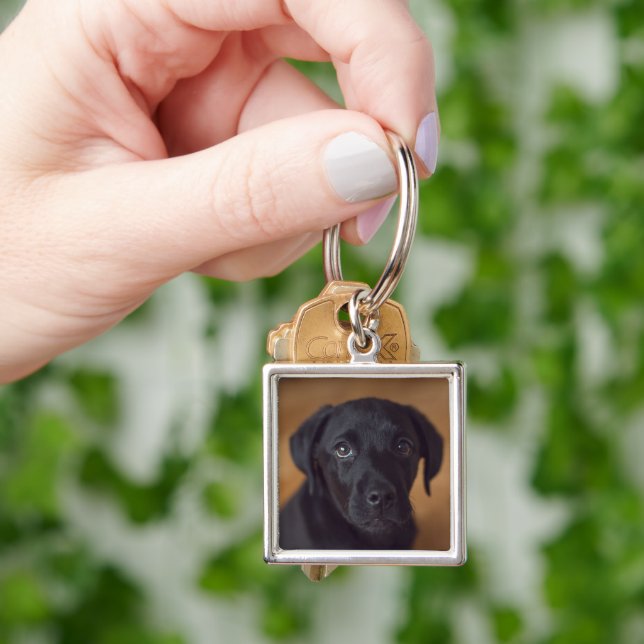 Cutest Baby Animals | Black Labrador Puppy Key Ring (Hand)