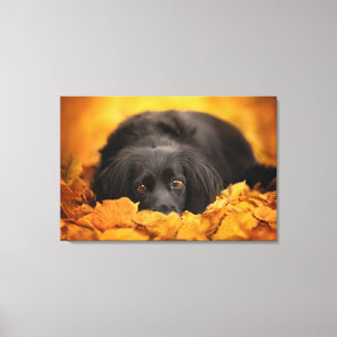 Cutest Baby Animals   Black Spaniel Puppy Canvas Print