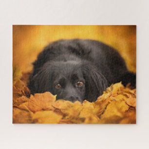 Cutest Baby Animals   Black Spaniel Puppy Jigsaw Puzzle