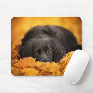 Cutest Baby Animals   Black Spaniel Puppy Mouse Pad