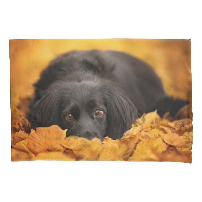 Cutest Baby Animals | Black Spaniel Puppy Pillowcase (Front)
