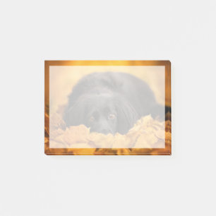 Cutest Baby Animals Black Spaniel Puppy Post-it Notes