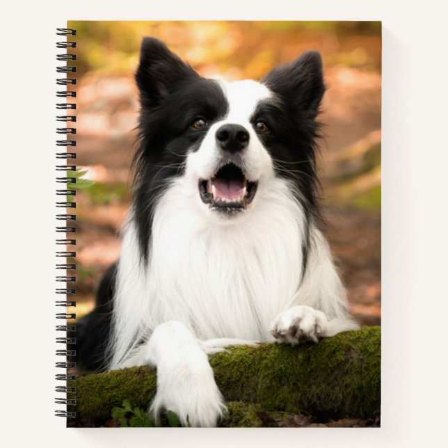 Cutest Baby Animals | Black & White Border Collie Notebook (Front)