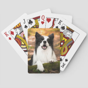 Cutest Baby Animals   Black & White Border Collie Playing Cards
