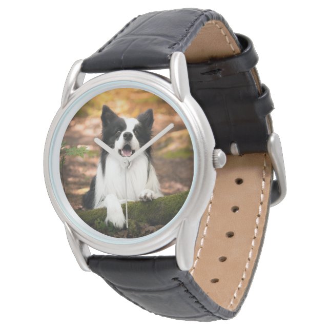 Cutest Baby Animals | Black & White Border Collie Watch (Angled)