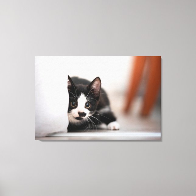 Cutest Baby Animals | Black & White Kitten Canvas Print (Front)