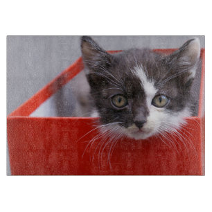 Cutest Baby Animals Black & White Kitten Cutting Board