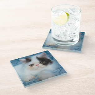 Cutest Baby Animals Black & White Kitten Glass Coaster