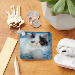 Cutest Baby Animals   Black & White Kitten Key Ring