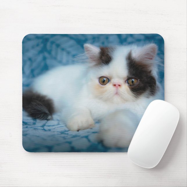 Cutest Baby Animals | Black & White Kitten Mouse Pad (With Mouse)