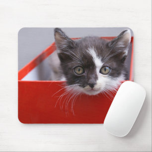 Cutest Baby Animals   Black & White Kitten Mouse Pad