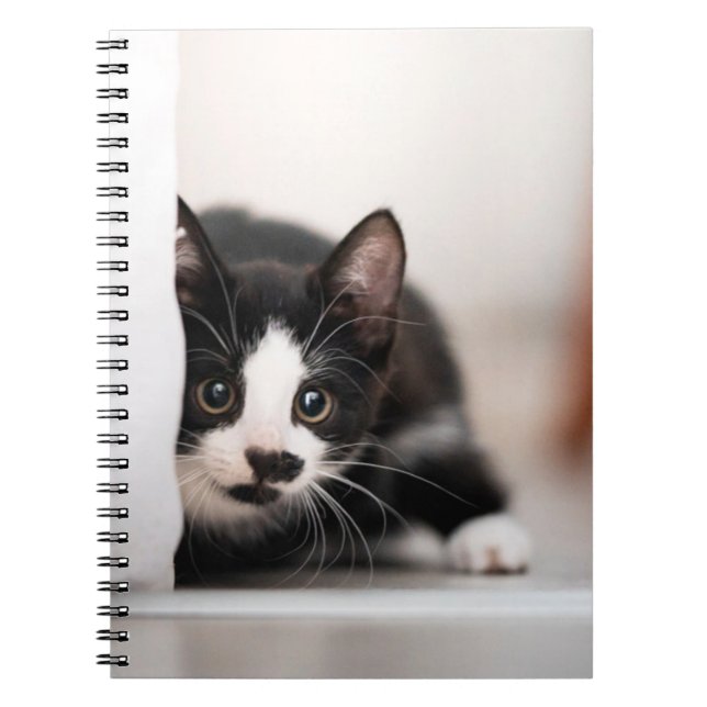 Cutest Baby Animals | Black & White Kitten Notebook (Front)